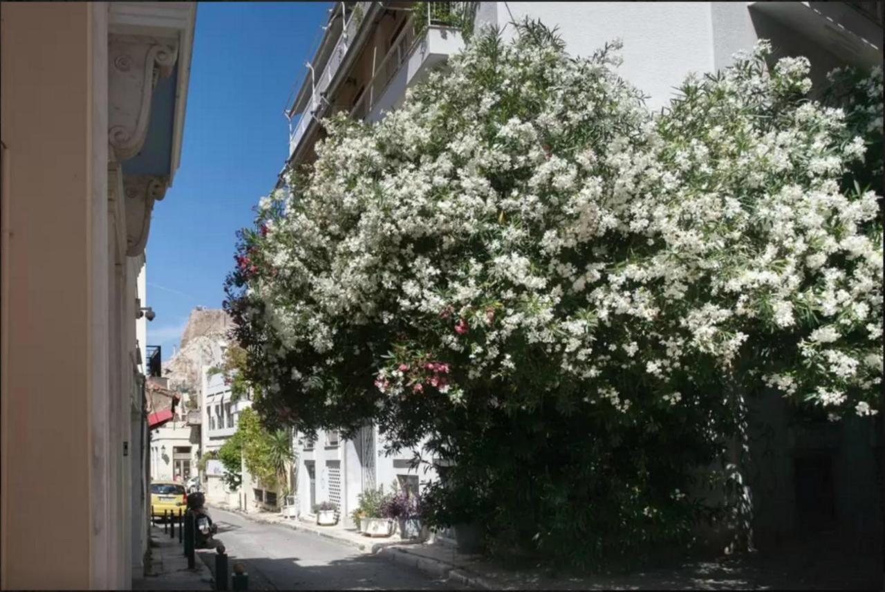 Nephiria, Back To Tradition, In The Heart Of Plaka! Apartment เอเธนส์ ภายนอก รูปภาพ